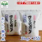 お米マイスター厳選 無洗米 魚沼産コシヒカリ100% 6kg