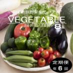 旬の新鮮野菜セット8種以上 奇数月発送