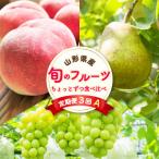 ふるさと納税 中山町 【発送月固定定期便】至高のフルーツ! 中山町旬のフルーツちょとずつ食べ比べ定期便A 全3回
