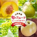 至高のフルーツ 旬のフルーツちょとずつ食べ比べ定期便B全4…