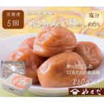 紀州南高梅 はちみつ極 850g