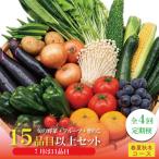 15品目以上 夏季は11品目以上 豪華 野菜セット