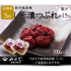 紀州南高梅しそ漬つぶれ 塩分約15% 700g×2全5回