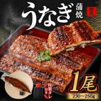うまいもん定期便35 うなぎ蒲焼1尾 生ずわい蟹500g