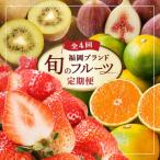 福岡ブランド果実を楽しむ 季節のご褒美フルーツ
