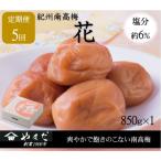 紀州南高梅 花 塩分約6% 850g