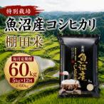 魚沼産コシヒカリ 特別栽培 棚田米 精米5kg全12回