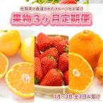旬の果物 3か月定期便 全3回
