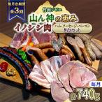 イノシシ肉 ハム ベーコン ソーセージ 8点セット 計740g