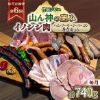 イノシシ肉 ハム ベーコン ソーセージ 8点セット 計740g