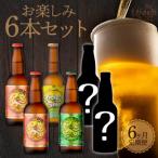 宮崎ひでじビールお楽しみ6本セット N073-YZE057