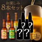 12ヶ月定期便宮崎ひでじビールお楽しみ8本セット