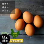 鹿本の赤たまご M玉 85個+割れ保障5個全3回