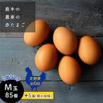 鹿本の赤たまご M玉 85個+割れ保障5個全6回