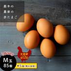 鹿本の赤たまご M玉 85個+割れ保障5個全12回
