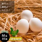鹿本の白たまご M玉 85個+割れ保障5個全3回