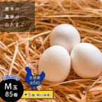 鹿本の白たまご M玉 85個+割れ保障5個全6回
