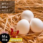 鹿本の白たまご M玉 85個+割れ保障5個全12回
