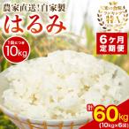 予定 合計60kg