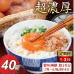 越前赤玉子40個 36個+卵割れ補償4個