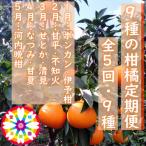 愛咲果樹園 9種の柑橘定期便 1月~5月