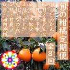 愛咲果樹園 旬の柑橘定期便 11月~6月