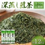 緑茶 茶葉 深蒸し茶 1.2kg