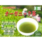 オーガニック茶500g 100g5袋 一番茶