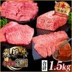 飛騨牛 赤身定期便 計1.5kg