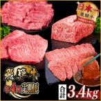 ふるさと納税 羽島市 飛騨牛 赤身定期便 計3.4kg 全4回