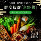 鮮度抜群 京野菜 食べきりサイズ詰合せ 6~7品目
