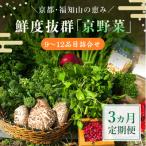 鮮度抜群 京野菜 9~12品目詰合せ 全3回