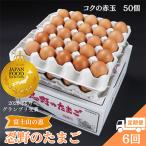 ”忍野の卵”コクの赤玉50個 卵