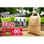 伊勢原産 精米 10kg