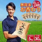 無洗米 お香わり 山形95号 5kg×6ヶ月連続