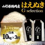 はえぬき Gセレクション 白米 10kg全3回