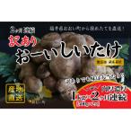 おーいしいたけ 約1kg