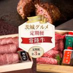 常陸牛Cコース ハンバーグ20個 焼肉カルビ