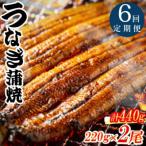 特大蒲焼 220g×2尾