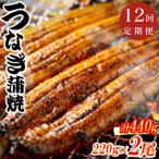 特大蒲焼 220g×2尾