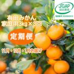 有田みかん 3kg