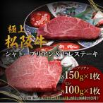 ヒレ 100g×1枚