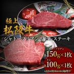ヒレ 100g×1枚