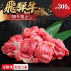 飛騨牛切り落とし 300g