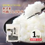 ゆきまち米 精米 1kg