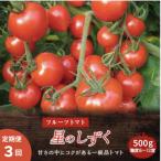 フルーツトマト 星のしずく 全3回