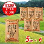 ほんき村のこしひかり 5kg×6回
