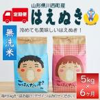 はえぬき 無洗米 5kg全6回