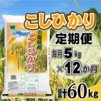 コシヒカリ 精米 5kg