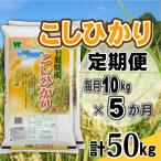 コシヒカリ 精米 10kg
